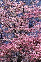 《装机模拟器2》试玩版上线Epic 可体验5个关卡